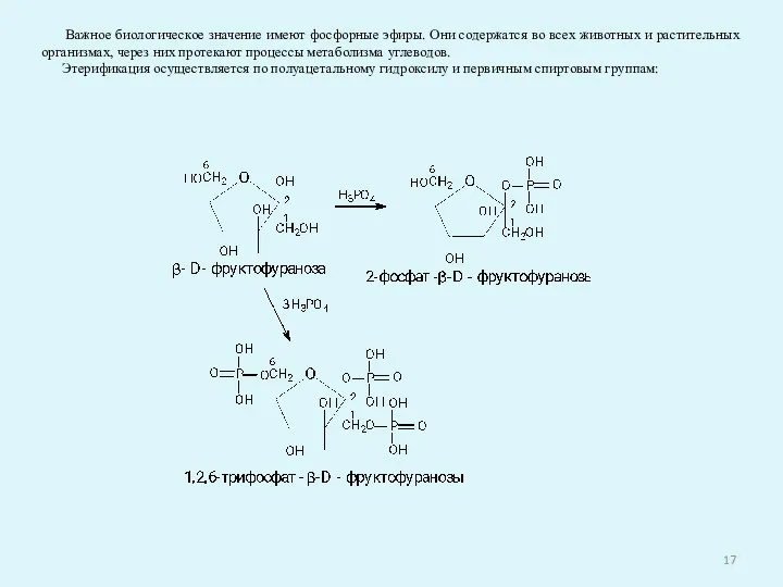 Важное биологическое значение имеют фосфорные эфиры. Они содержатся во всех животных и