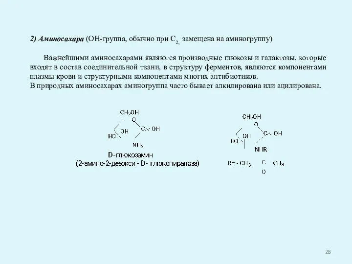 2) Аминосахара (ОН-группа, обычно при С2, замещена на аминогруппу) Важнейшими аминосахарами являются