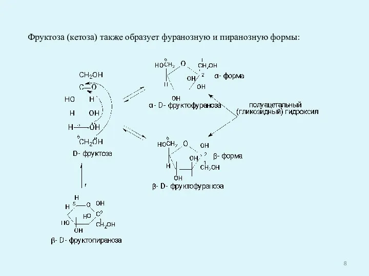 Фруктоза (кетоза) также образует фуранозную и пиранозную формы: