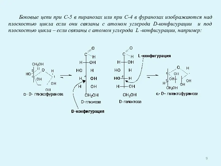 Боковые цепи при С-5 в пиранозах или при С-4 в фуранозах изображаются