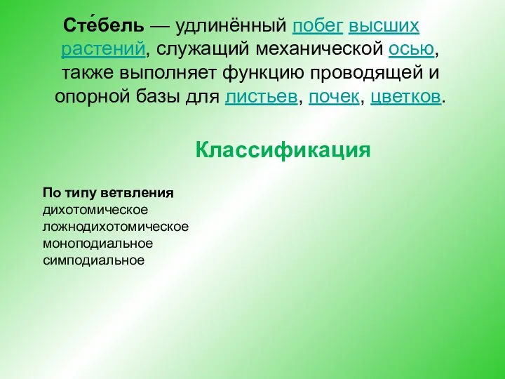 Сте́бель — удлинённый побег высших растений, служащий механической осью, также выполняет функцию