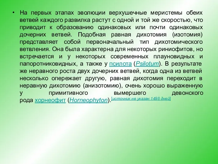 На первых этапах эволюции верхушечные меристемы обеих ветвей каждого развилка растут с