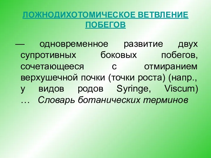 ЛОЖНОДИХОТОМИЧЕСКОЕ ВЕТВЛЕНИЕ ПОБЕГОВ — одновременное развитие двух супротивных боковых побегов, сочетающееся с