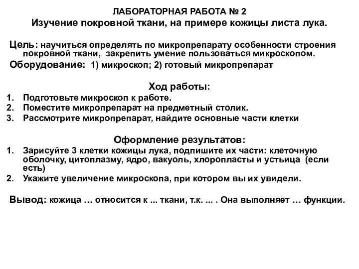 ЛАБОРАТОРНАЯ РАБОТА № 2 Изучение покровной ткани, на примере кожицы листа лука.