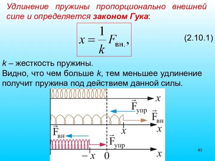 Удлинение пружины пропорционально внешней силе и определяется законом Гука: (2.10.1) k –