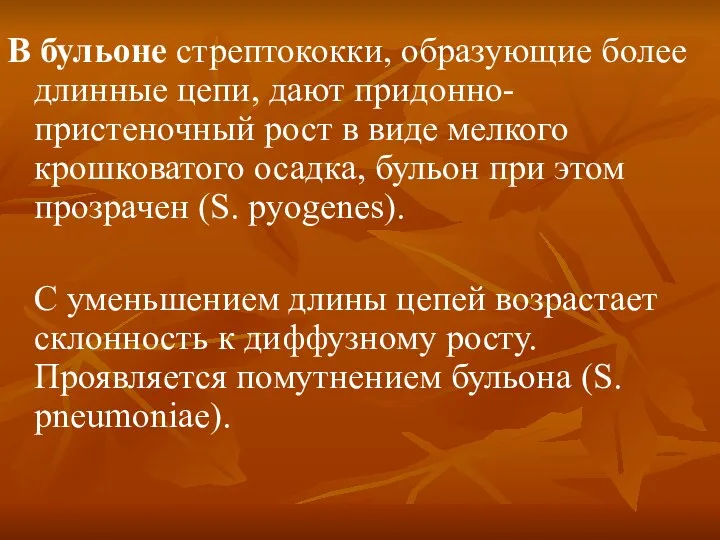 В бульоне стрептококки, образующие более длинные цепи, дают придонно-пристеночный рост в виде