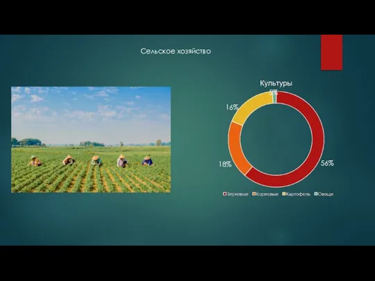Сельское хозяйство 56% 18% 16% 5%