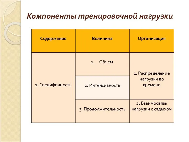 Компоненты тренировочной нагрузки