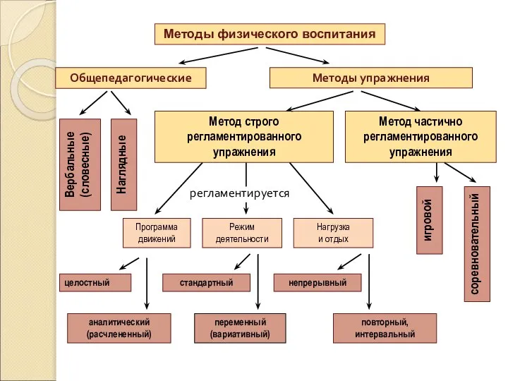 Методы физического воспитания Общепедагогические Методы упражнения Вербальные (словесные) Наглядные Метод строго регламентированного