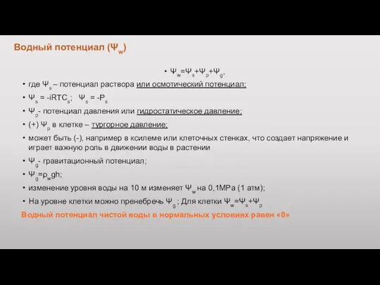 Водный потенциал (Ψw) Ψw=Ψs+Ψp+Ψg, где Ψs – потенциал раствора или осмотический потенциал;