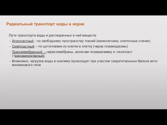 Радиальный транспорт воды в корне Пути транспорта воды и растворенных в ней