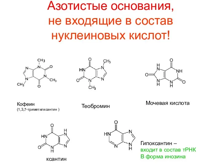 Азотистые основания, не входящие в состав нуклеиновых кислот! Кофеин (1,3,7-триметилксантин ) Теобромин