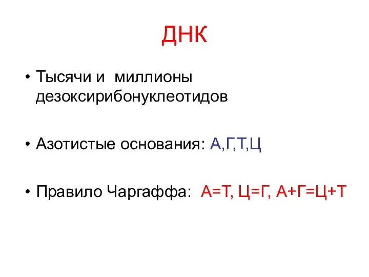 ДНК Тысячи и миллионы дезоксирибонуклеотидов Азотистые основания: А,Г,Т,Ц Правило Чаргаффа: A=T, Ц=Г, А+Г=Ц+Т