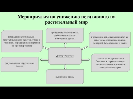 Мероприятия по снижению негативного на растительный мир МЕРОПРИЯТИЯ запрет на засорение леса