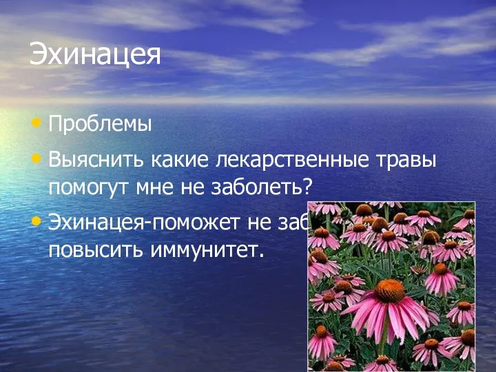 Эхинацея Проблемы Выяснить какие лекарственные травы помогут мне не заболеть? Эхинацея-поможет не заболеть и повысить иммунитет.