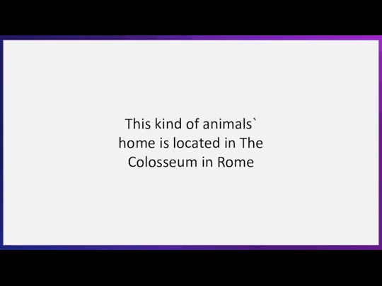 This kind of animals` home is located in The Colosseum in Rome