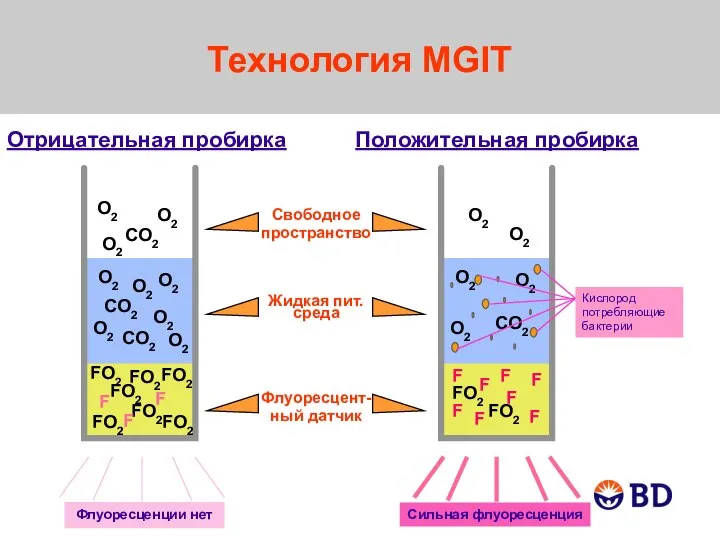 Технология MGIT Отрицательная пробирка Флуоресценции нет Положительная пробирка Сильная флуоресценция Кислород потребляющие бактерии