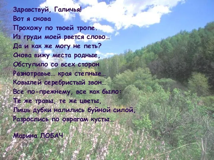 Здравствуй, Галичья! Вот я снова Прохожу по твоей тропе. Из груди моей