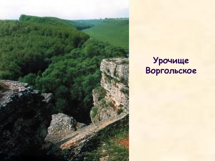 Урочище Воргольское