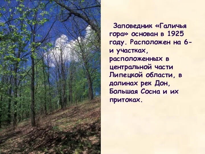 Заповедник «Галичья гора» основан в 1925 году. Расположен на 6-и участках, расположенных