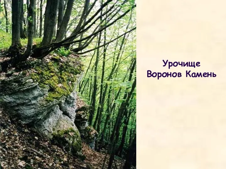 Урочище Воронов Камень