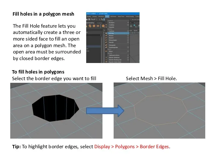 Fill holes in a polygon mesh The Fill Hole feature lets you