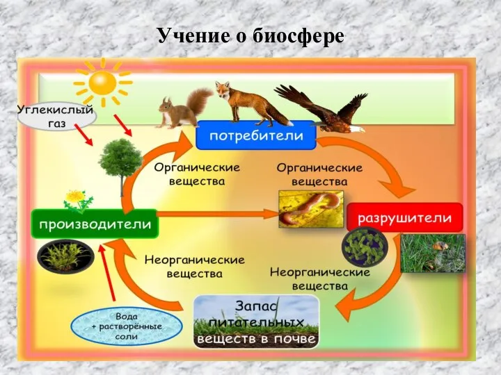 Учение о биосфере