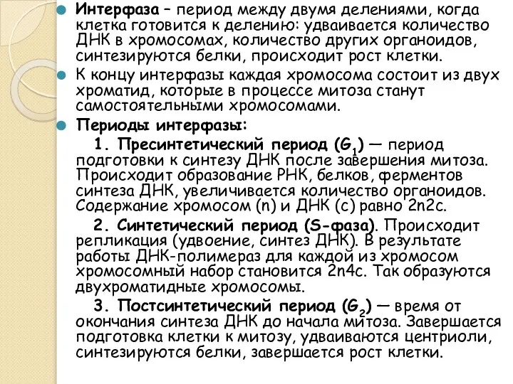 Интерфаза – период между двумя делениями, когда клетка готовится к делению: удваивается