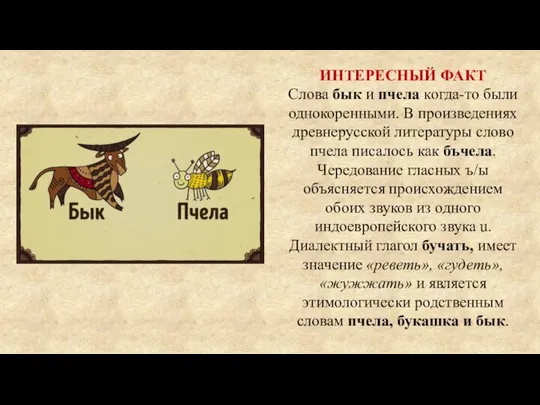 ИНТЕРЕСНЫЙ ФАКТ Слова бык и пчела когда-то были однокоренными. В произведениях древнерусской