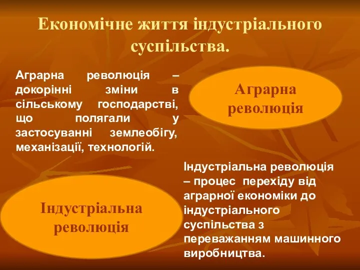 Економічне життя індустріального суспільства. Аграрна революція Індустріальна революція Аграрна революція – докорінні