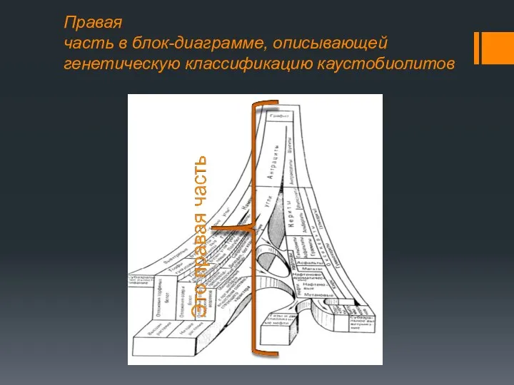 Правая часть в блок-диаграмме, описывающей генетическую классификацию каустобиолитов