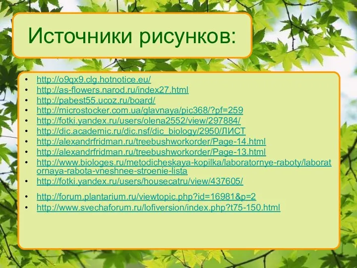 Источники рисунков: http://o9qx9.clg.hotnotice.eu/ http://as-flowers.narod.ru/index27.html http://pabest55.ucoz.ru/board/ http://microstocker.com.ua/glavnaya/pic368/?pf=259 http://fotki.yandex.ru/users/olena2552/view/297884/ http://dic.academic.ru/dic.nsf/dic_biology/2950/ЛИСТ http://alexandrfridman.ru/treebushworkorder/Page-14.html http://alexandrfridman.ru/treebushworkorder/Page-13.html http://www.biologes.ru/metodicheskaya-kopilka/laboratornye-raboty/laboratornaya-rabota-vneshnee-stroenie-lista http://fotki.yandex.ru/users/housecatru/view/437605/ http://forum.plantarium.ru/viewtopic.php?id=16981&p=2 http://www.svechaforum.ru/lofiversion/index.php?t75-150.html