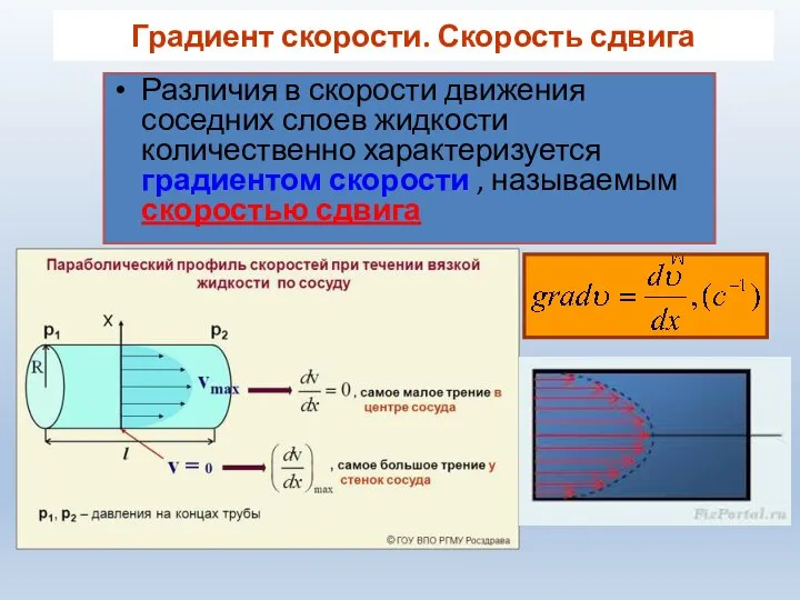 Градиент скорости. Скорость сдвига Различия в скорости движения соседних слоев жидкости количественно