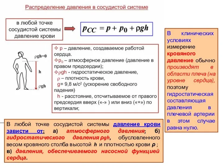 В любой точке сосудистой системы давление крови зависти от: а) атмосферного давления;