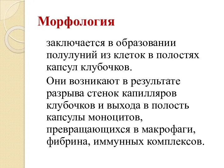 Морфология заключается в образовании полулуний из клеток в полостях капсул клубочков. Они