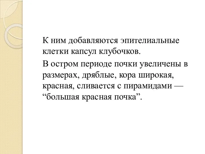 К ним добавляются эпителиальные клетки капсул клубочков. В остром периоде почки увеличены