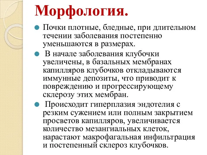 Морфология. Почки плотные, бледные, при длительном течении заболевания постепенно уменьшаются в размерах.