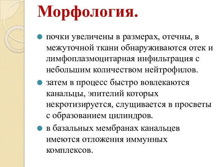 Морфология. почки увеличены в размерах, отечны, в межуточной ткани обнаруживаются отек и