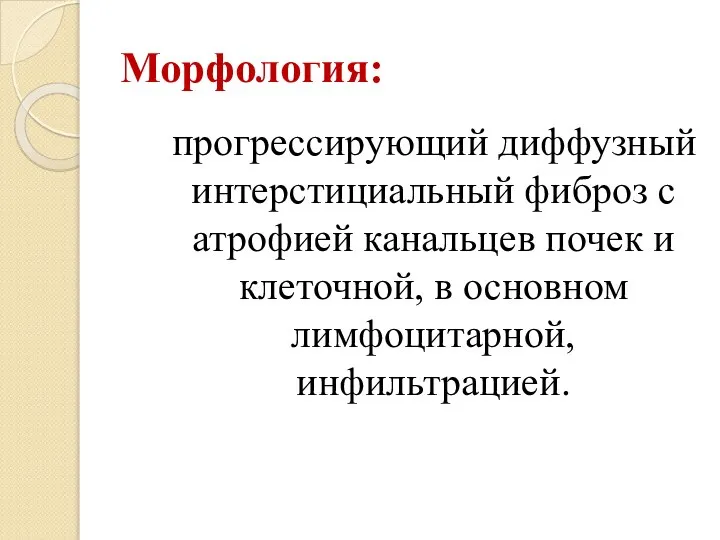 Морфология: прогрессирующий диффузный интерстициальный фиброз с атрофией канальцев почек и клеточной, в основном лимфоцитарной, инфильтрацией.