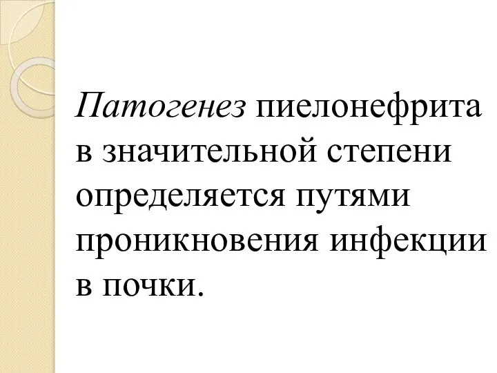 Патогенез пиелонефрита в значительной степени определяется путями проникновения инфекции в почки.