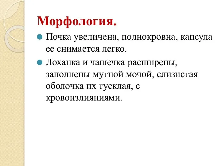 Морфология. Почка увеличена, полнокровна, капсула ее снимается легко. Лоханка и чашечка расширены,