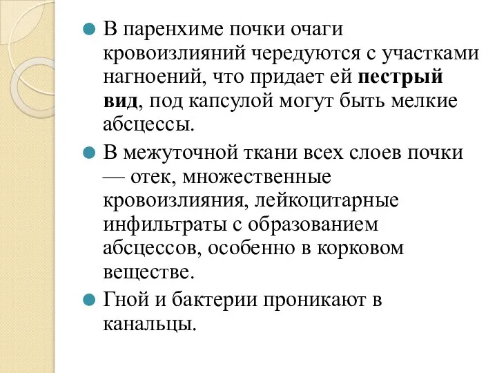 В паренхиме почки очаги кровоизлияний чередуются с участками нагноений, что придает ей