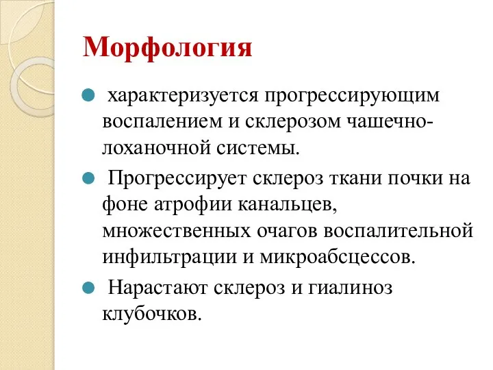 Морфология характеризуется прогрессирующим воспалением и склерозом чашечно-лоханочной системы. Прогрессирует склероз ткани почки