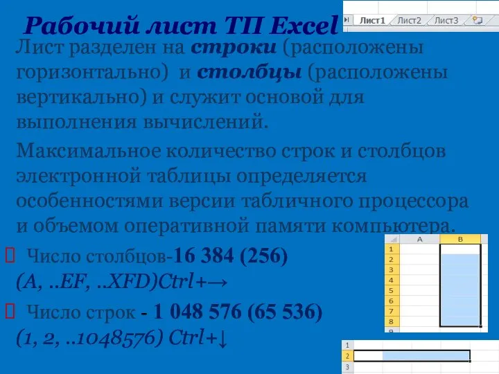 Рабочий лист TП Excel Лист разделен на строки (расположены горизонтально) и столбцы