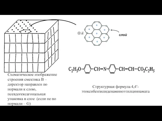 Схематическое изображение строения смектика В – директор направлен по нормали к слою,