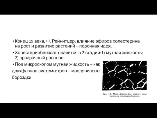 Конец 19 века, Ф. Рейнитцер: влияние эфиров холестерина на рост и развитие