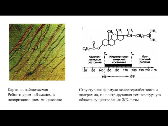 Картина, наблюдаемая Рейнитцером и Леманом в поляризационном микроскопе Структурная формула холестерилбензоата и