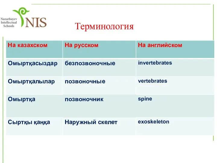 Терминология