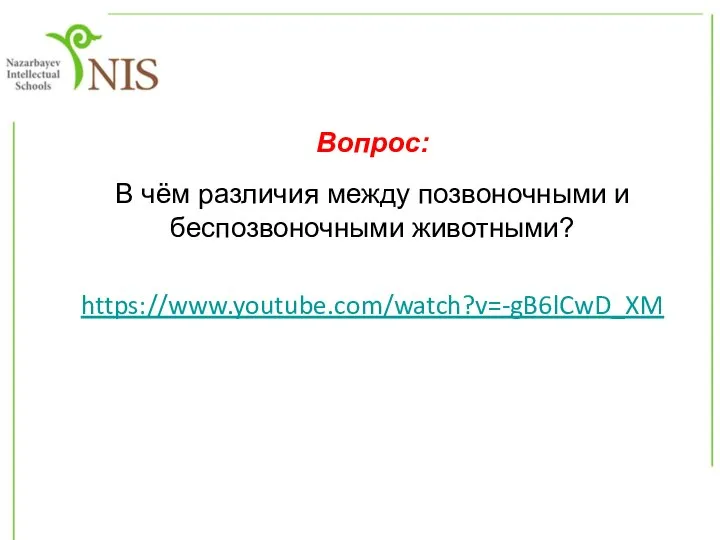 Вопрос: В чём различия между позвоночными и беспозвоночными животными? https://www.youtube.com/watch?v=-gB6lCwD_XM