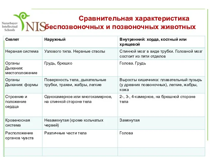 Сравнительная характеристика беспозвоночных и позвоночных животных